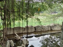 -西湖公园(鼓楼区)