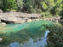 -广州白江湖森林公园