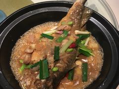 -琥珀·原创臻选店(维家思店)
