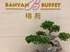 -融侨大酒店-榕苑自助餐厅