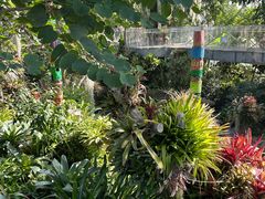 -上海辰山植物园