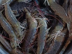 -海恋园海鲜餐馆