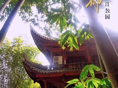 -望江楼公园
