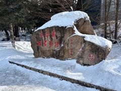 -横道河子东北虎林园