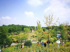 -铁山坪森林公园