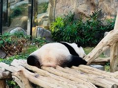 -香港海洋公园