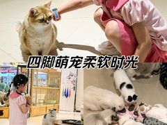 -藏猫猫咖啡主题馆(中央大道店)
