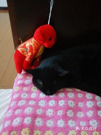 我们家的小卤蛋，每天这个时间