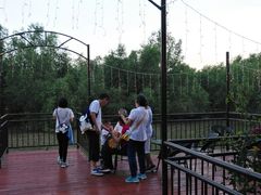 -崖口红树林海鲜餐厅