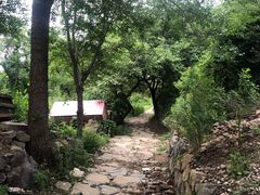 -阳台山自然风景区