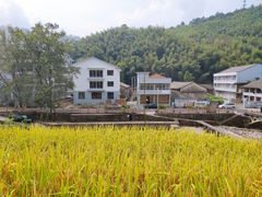 -泽雅景区