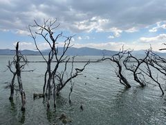-大理洱海
