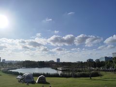 -春花秋色城市公园