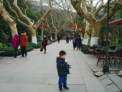 -杭州黄龙洞