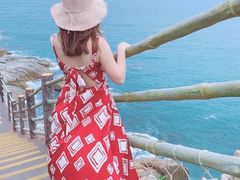 -广东惠东海龟国家级自然保护区