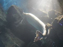 -石家庄海洋公园