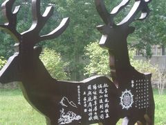 -北京麋鹿生态实验中心