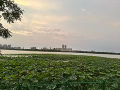 -金银湖国家城市湿地公园