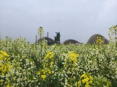 -中国天府农业博览园