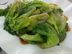 -东鸽皇(奥园·中环广场店)