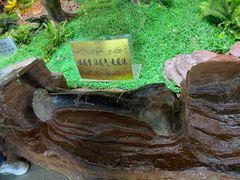 -嘉荫恐龙国家地质公园