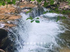 -红崖峡谷景区