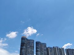 -顺兴老茶馆·精品川菜(世纪城店)