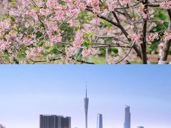 -金成潮菜博物馆(海珠湿地店)