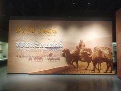 -包头博物馆