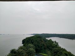 -大湾区中央湿地公园