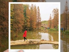 -云溪植物园