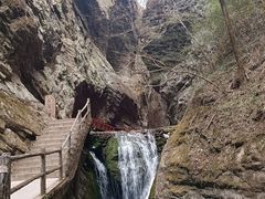 -牛背梁国家森林公园