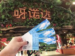 -呀诺达热带雨林