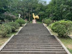 -海口火山口国家地质公园