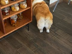 -肥朵食堂(带梦胡同店)