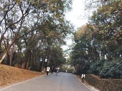 -南京市江宁方山