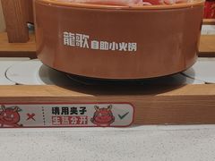 -龍歌自助小火锅(崂山丽达店)