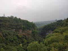 -川西竹海景区