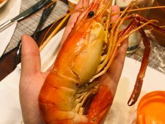 -The COOK·厨餐厅·自助餐(浦东嘉里大酒店)