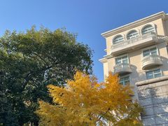 -棕榈岛海鲜自助餐厅(虹桥迎宾馆店)