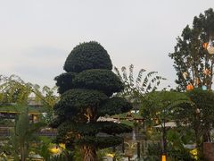 -茅草房·河畔园林火锅