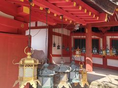 -奈良公园