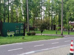 -黄海国家森林公园