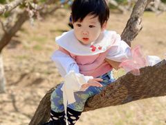 -永定河休闲森林公园