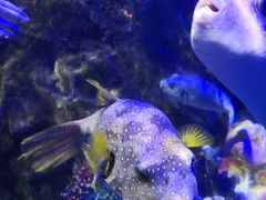 -太平洋海底世界