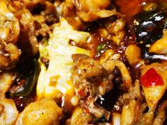 -蛙喔牛蛙(百联南方店)