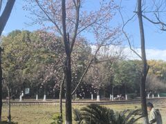 -月牙潭公园