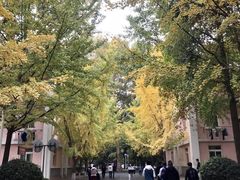 -陕西师范大学(雁塔校区)