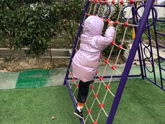 -小鱼草莓采摘园农家乐·小鱼餐厅