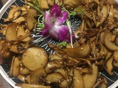 -梧桐树下(云锦世家店)